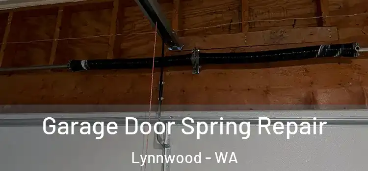  Garage Door Spring Repair Lynnwood - WA