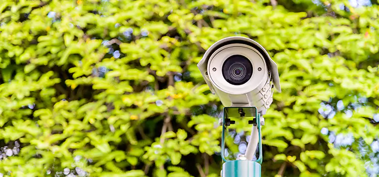 Advanced Surveillance Solutions for Every Need in Lynnwood