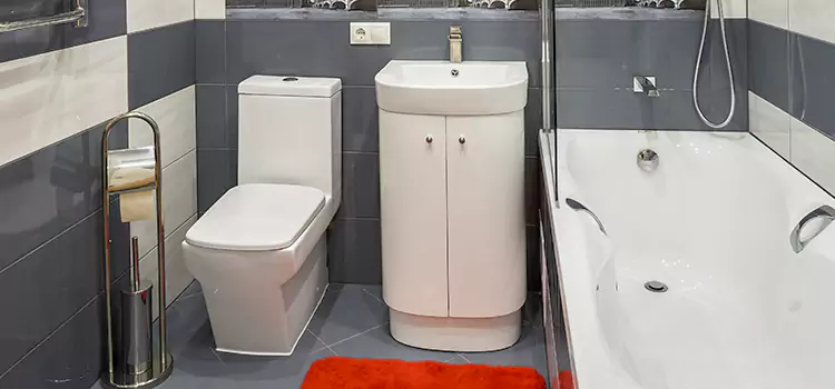 Hansgrohe Shaving Mirror Lynnwood